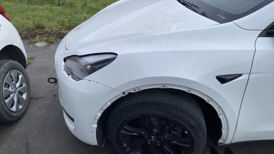 Image Aile avant gauche - TESLA MODEL Y