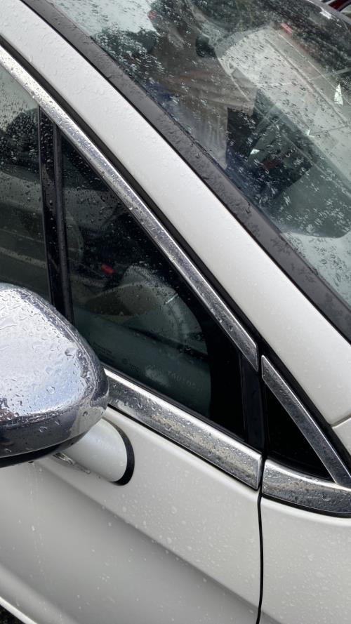 Image Custode avant droit (porte) - CITROEN DS4