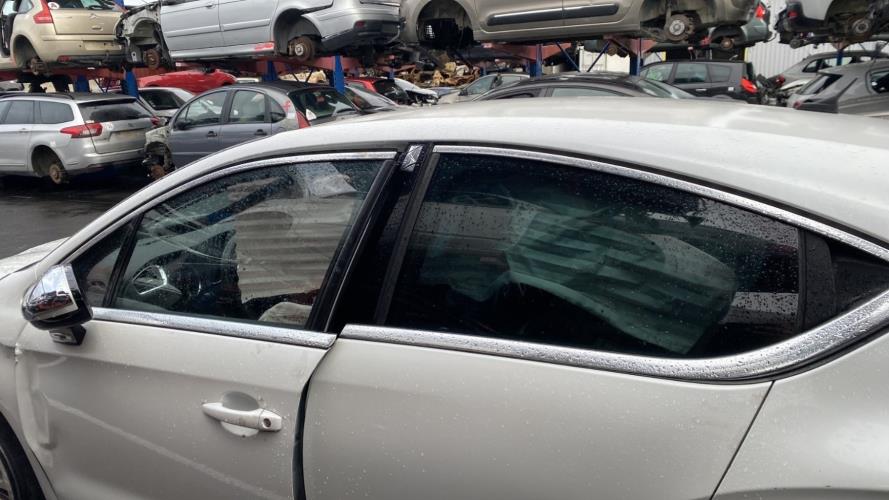 Image Custode avant gauche (porte) - CITROEN DS4