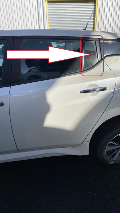 Image Custode arriere gauche (porte) - NISSAN LEAF 2