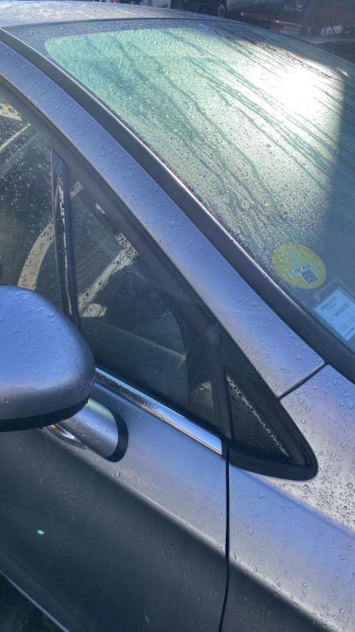 Image Custode avant droit (porte) - CITROEN C4 2