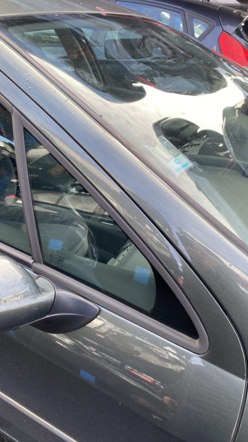 Image Custode avant droit (porte) - PEUGEOT 407