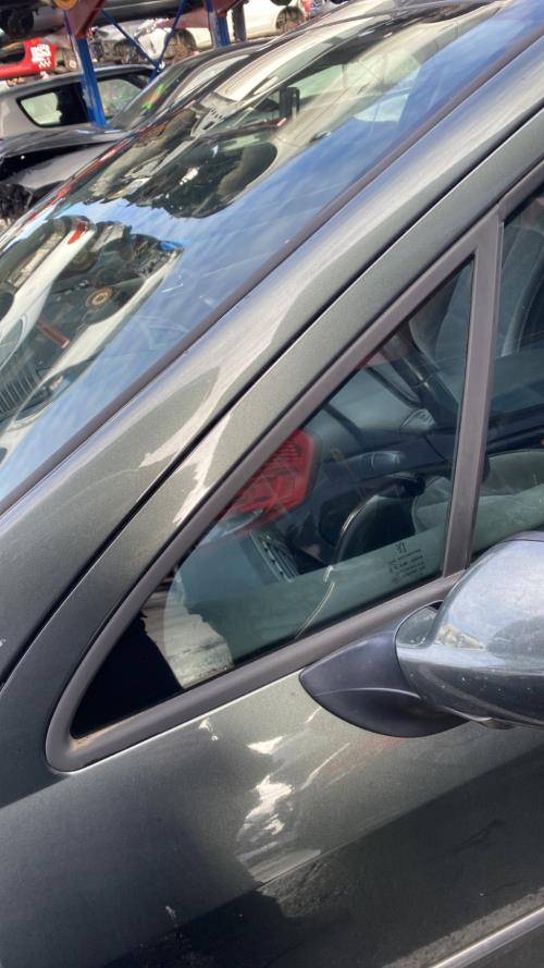 Image Custode avant gauche (porte) - PEUGEOT 407