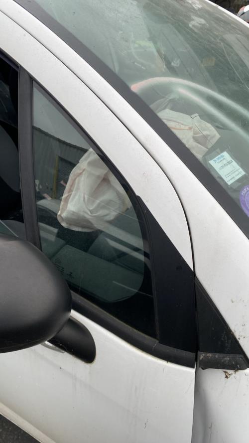 Image Custode avant droit (porte) - CITROEN C3 2