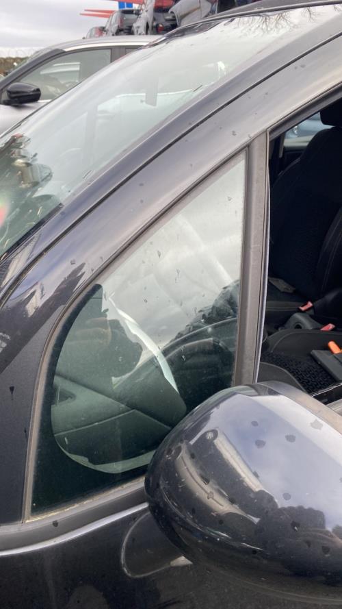 Image Custode avant gauche (porte) - CITROEN C3 2