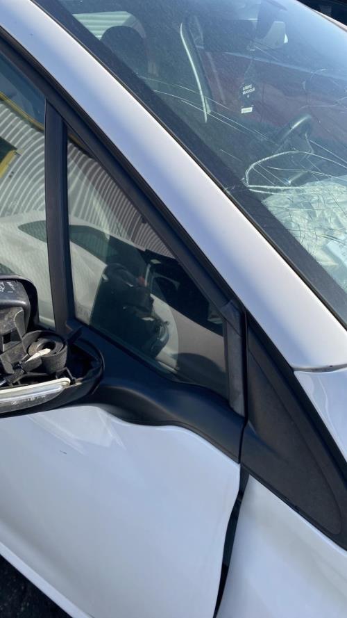 Image Custode avant droit (porte) - PEUGEOT 208 1