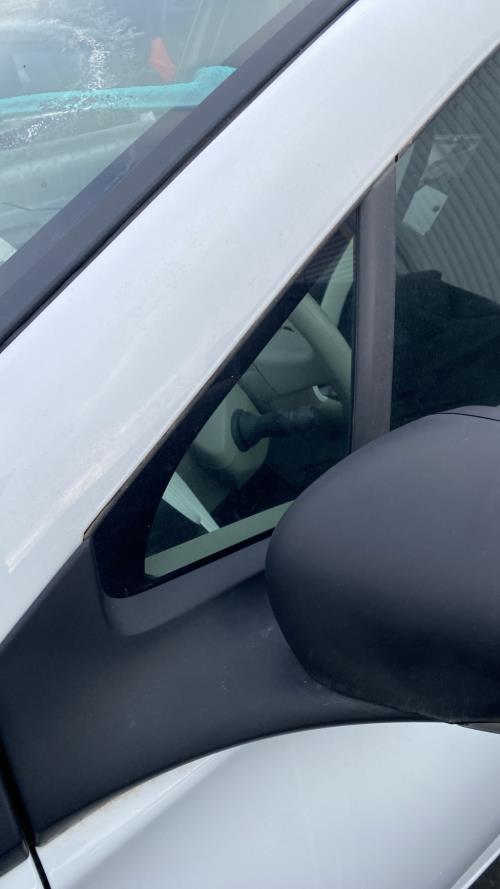 Image Custode avant gauche (porte) - RENAULT ZOE 1