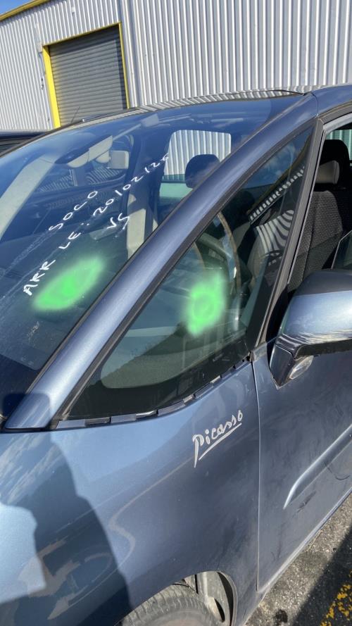 Image Custode avant gauche - CITROEN C4 PICASSO 1