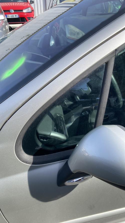 Image Custode avant gauche (porte) - PEUGEOT 207