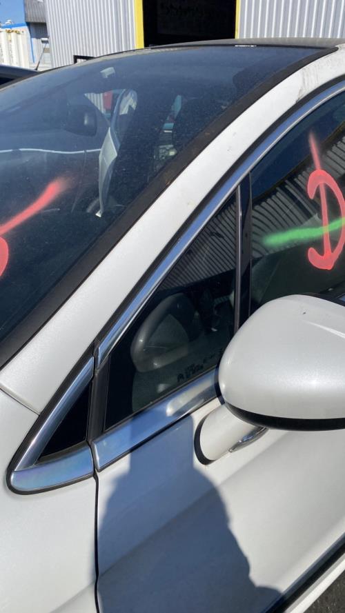 Image Custode avant gauche (porte) - CITROEN DS4