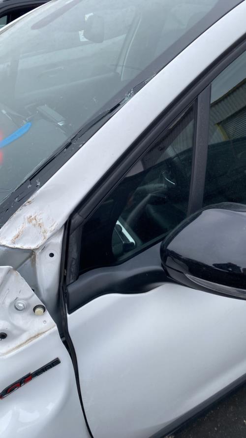 Image Custode avant gauche (porte) - PEUGEOT 2008 1