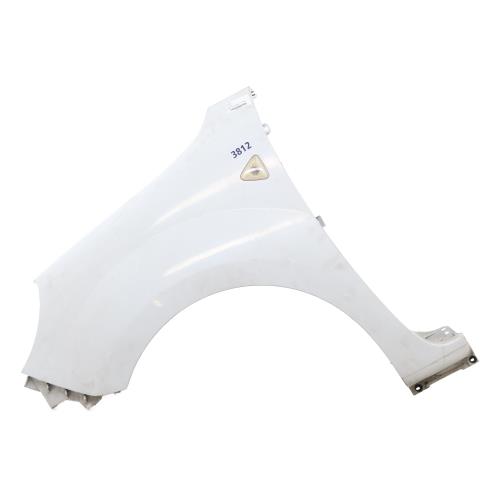 Image Aile avant gauche - RENAULT KANGOO 2