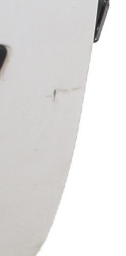 Image Porte avant droit - RENAULT KANGOO 2