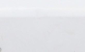 Image Porte avant droit - RENAULT KANGOO 2