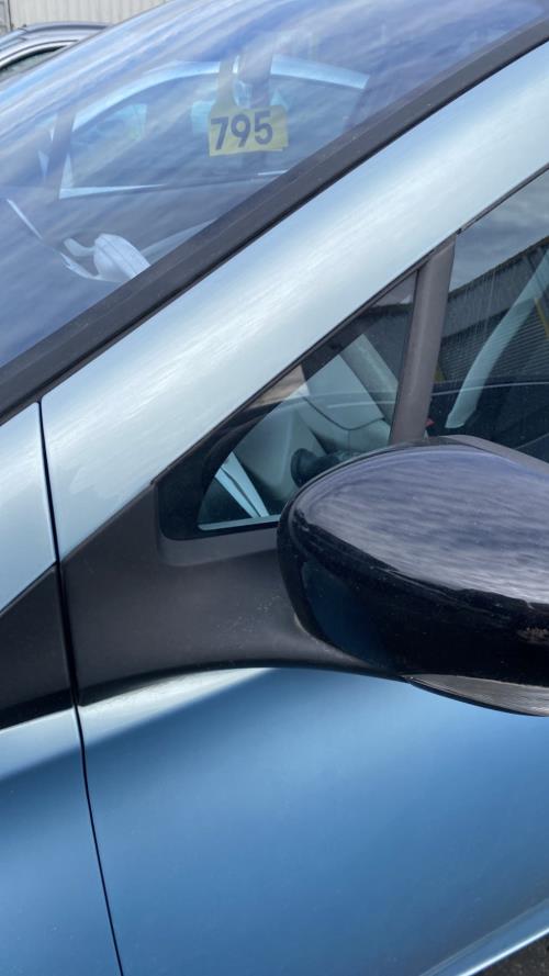 Image Custode avant gauche (porte) - RENAULT ZOE 1