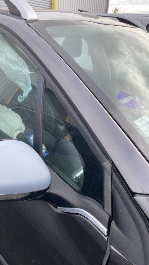 Image Custode avant droit (porte) - PEUGEOT 2008 1