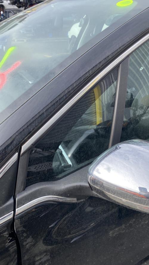 Image Custode avant gauche (porte) - PEUGEOT 208 1