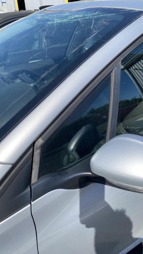 Image Custode avant gauche (porte) - PEUGEOT 208 1
