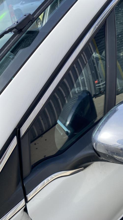 Image Custode avant gauche (porte) - PEUGEOT 208 1