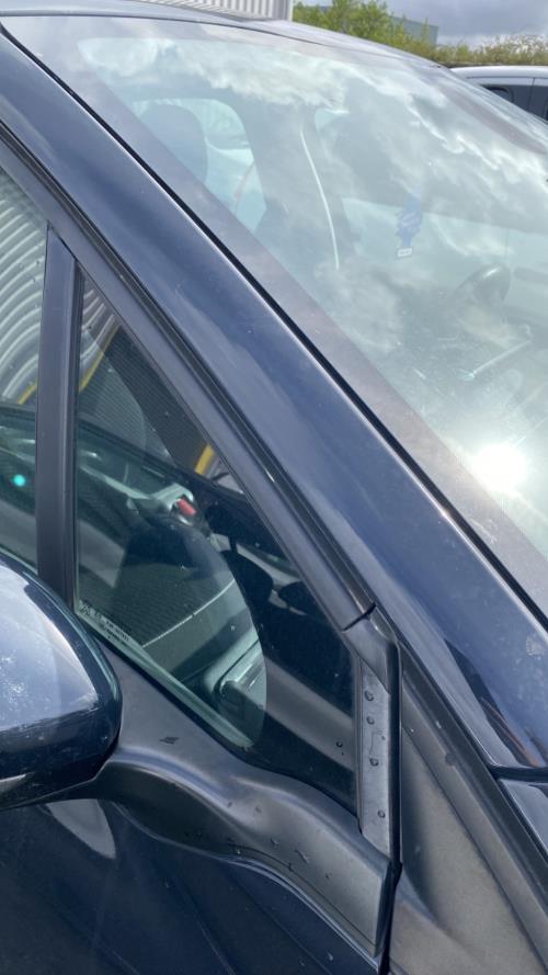 Image Custode avant droit (porte) - PEUGEOT 208 1