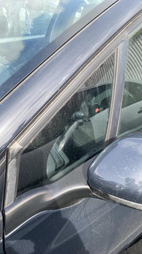 Image Custode avant gauche (porte) - PEUGEOT 208 1