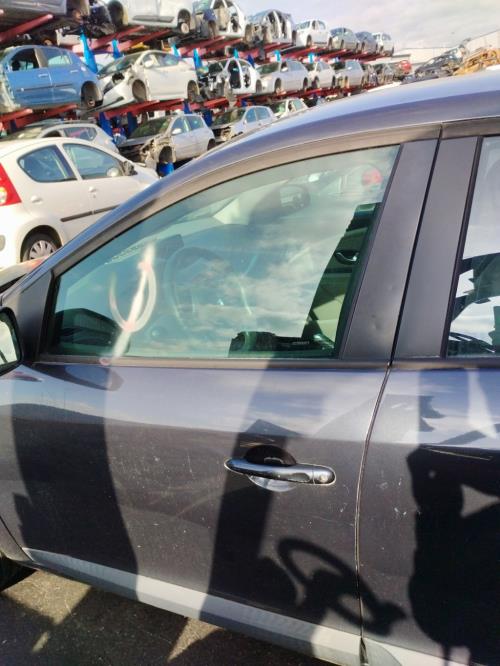 Image Porte avant gauche - RENAULT MEGANE 3