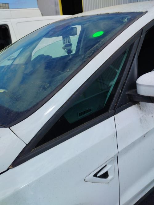 Image Custode avant gauche - FORD S-MAX 2
