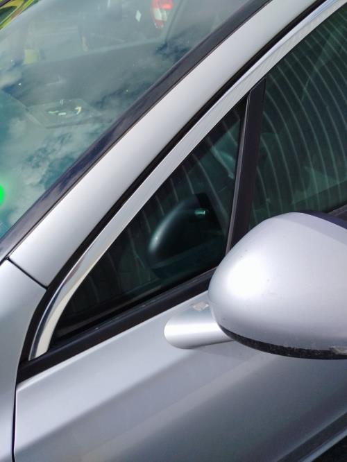 Image Custode avant gauche (porte) - PEUGEOT 508 1