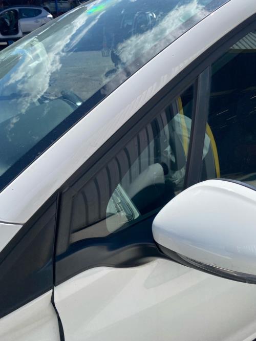 Image Custode avant gauche (porte) - PEUGEOT 208 1