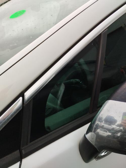 Image Custode avant gauche (porte) - PEUGEOT 3008 1
