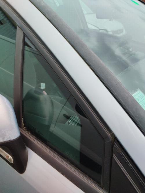 Image Custode avant droit (porte) - CITROEN C4 1