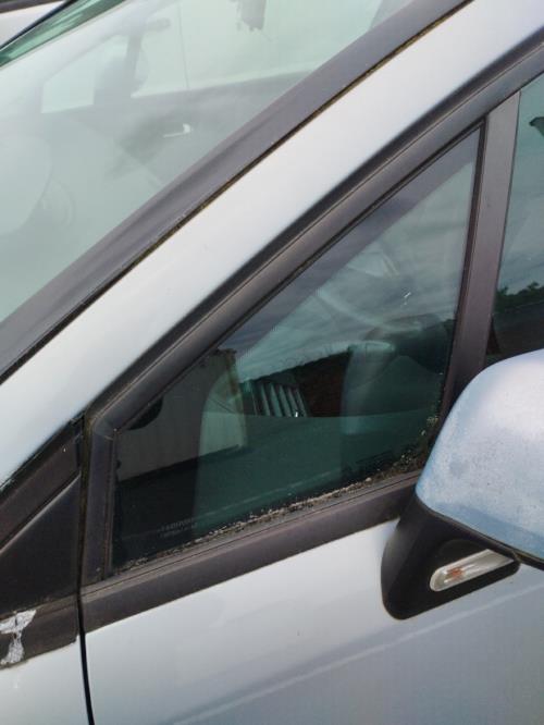Image Custode avant gauche (porte) - CITROEN C4 1