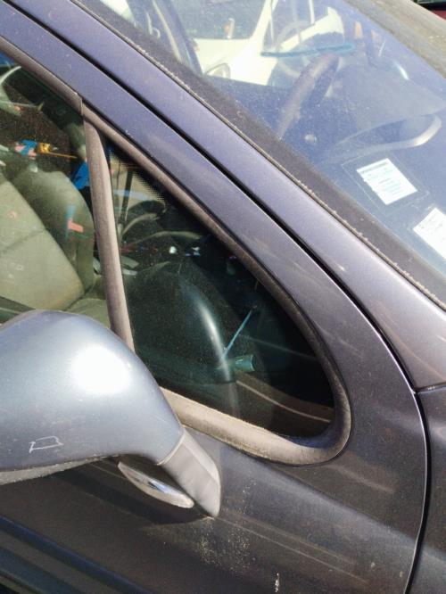 Image Custode avant droit (porte) - PEUGEOT 207