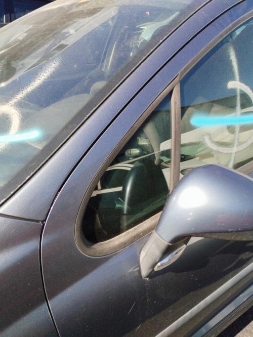 Image Custode avant gauche (porte) - PEUGEOT 207