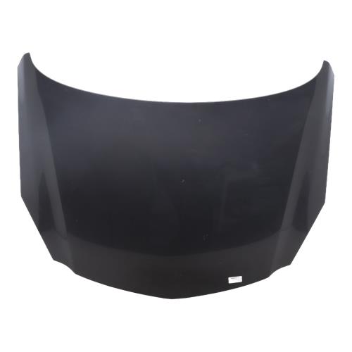 Image Capot - OPEL INSIGNIA 1
