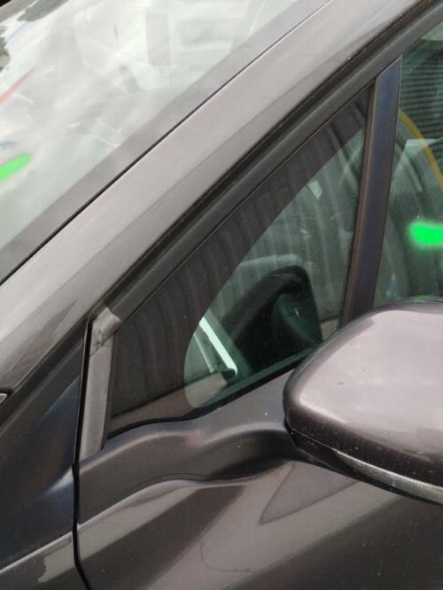 Image Custode avant gauche (porte) - PEUGEOT 2008 1