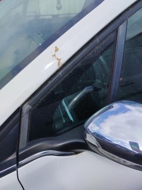 Image Custode avant gauche (porte) - PEUGEOT 2008 1