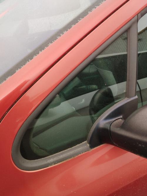 Image Custode avant gauche (porte) - PEUGEOT 307