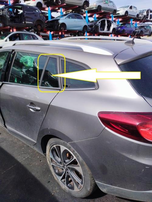 Image Custode arriere gauche (porte) - RENAULT MEGANE 3