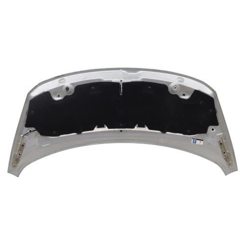 Image Capot - PEUGEOT 3008 1