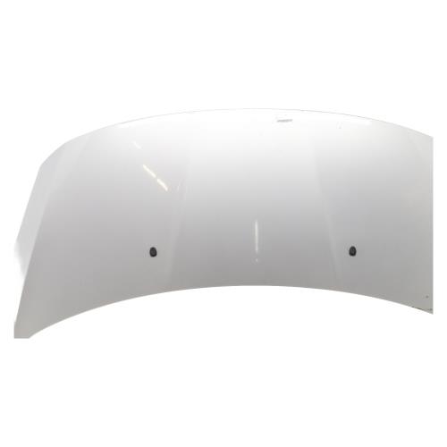 Image Capot - PEUGEOT 3008 1