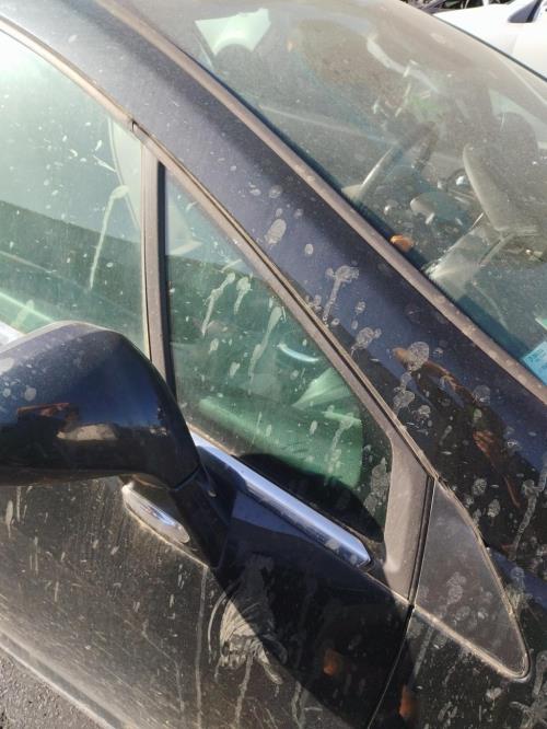Image Custode avant droit (porte) - PEUGEOT 308 1