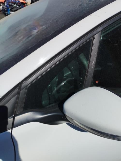 Image Custode avant gauche (porte) - PEUGEOT 208 1