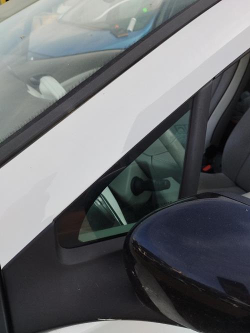 Image Custode avant gauche (porte) - RENAULT ZOE 1