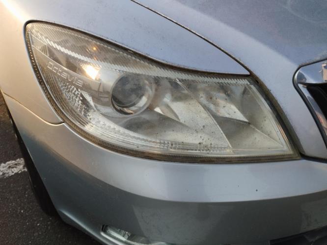 Image Optique avant principal droit (feux)(phare) - SKODA OCTAVIA 2