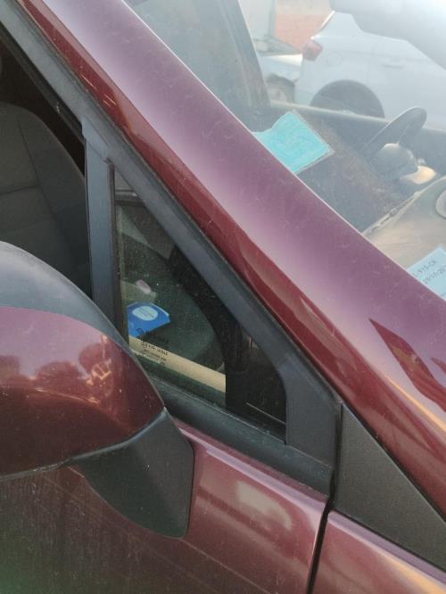 Image Custode avant droit (porte) - RENAULT SCENIC 3