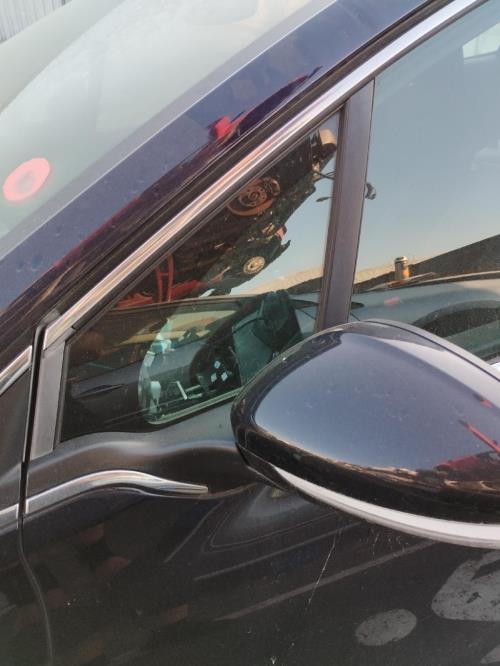 Image Custode avant gauche (porte) - PEUGEOT 208 1
