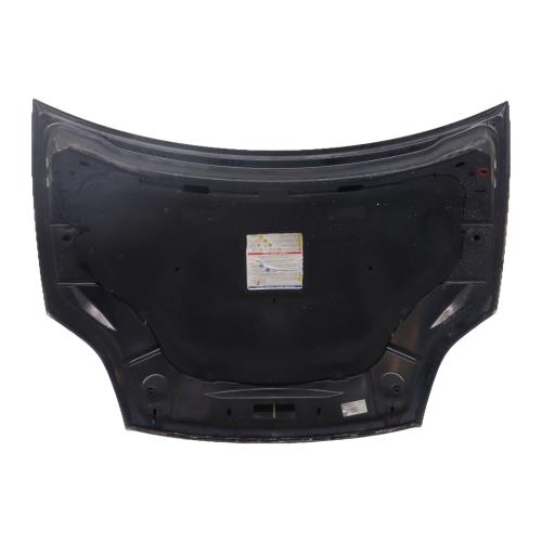Image Capot - FIAT BRAVO 2