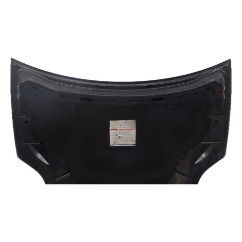 Image Capot - FIAT BRAVO 2