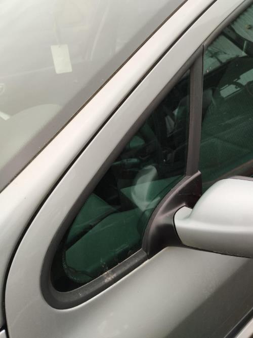 Image Custode avant gauche (porte) - PEUGEOT 307